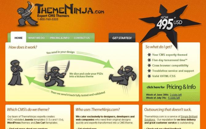 ThemeNinja.com