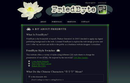 FriedByte
