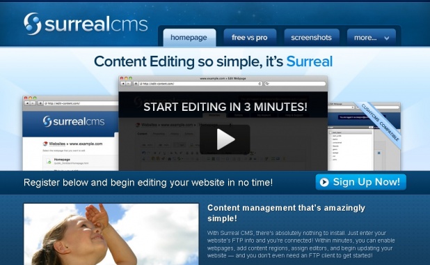 Surreal CMS