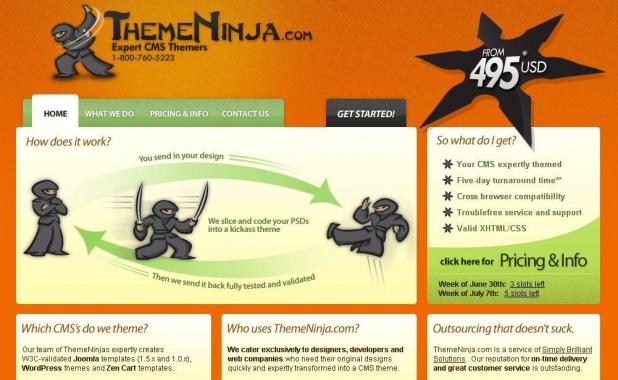 ThemeNinja.com
