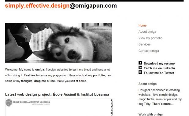 Design Portfolio of Omiga Pun