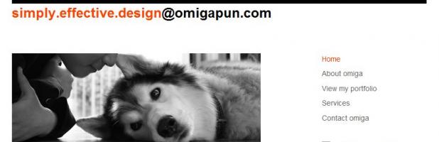 Design Portfolio of Omiga Pun