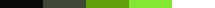Lady In Green