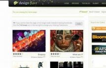 DesignFlavr