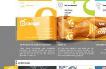 Orange Label
