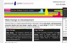 Peacock Carter Web Design