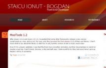 Staicu Ionut