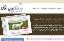 Bergan Blue