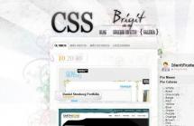 Css Brigit