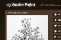 my Passion Project