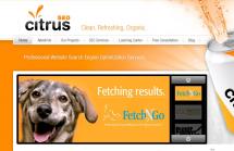 Citrus SEO