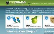 CSS Ninjas
