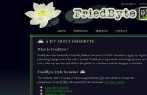 FriedByte