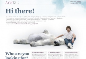 Aaron Kato 