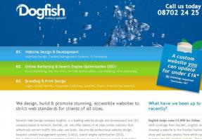 Dogfish Internet Ltd
