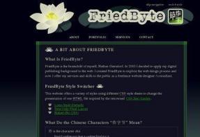 FriedByte
