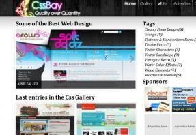 CssBay