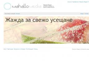 Mahallo Media