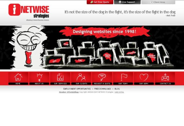 NETWiSE Strategies