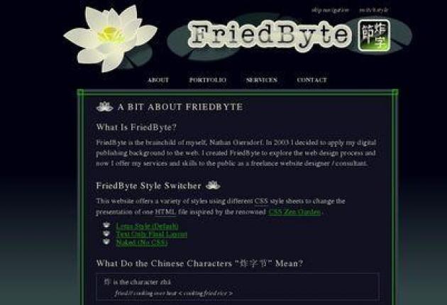 FriedByte